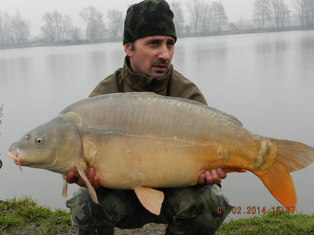 01/02/20014 - dscn1914.JPG